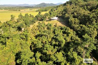 Farm Sold - QLD - El Arish - 4855 - 33+Acres, HUGE Shed, Lap Pool, Views, Creeks, Plantations...total privacy!  (Image 2)