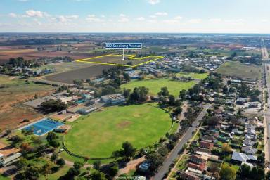 Farm Sold - VIC - Irymple - 3498 - SUBDIVISIONAL REDEVELOPMENT LAND  (Image 2)