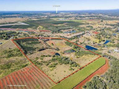 Farm For Sale - QLD - North Isis - 4660 - LOOKING FOR A LIFESTYLE CHANGE?  (Image 2)