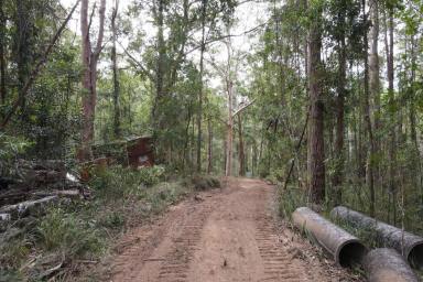Farm Sold - NSW - Dungog - 2420 - Forest Hideaway on Dungog's Doorstep  (Image 2)