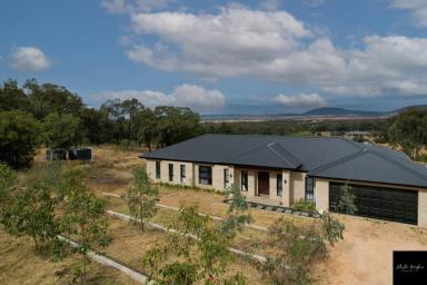 Farm Sold - NSW - Gunnedah - 2380 - OUTSTANDING ACREAGE WITH GREAT SHED AND VIEWS  (Image 2)