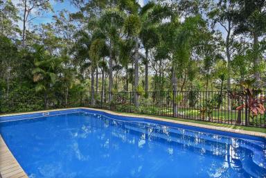 Farm Sold - QLD - Cashmere - 4500 - Your Very Own Family Oasis!  (Image 2)