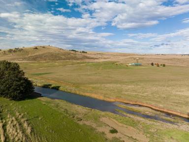 Farm For Sale - NSW - Cooma - 2630 - Location, Lucerne & Lifestyle  (Image 2)