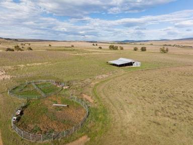 Farm For Sale - NSW - Cooma - 2630 - Location, Lucerne & Lifestyle  (Image 2)