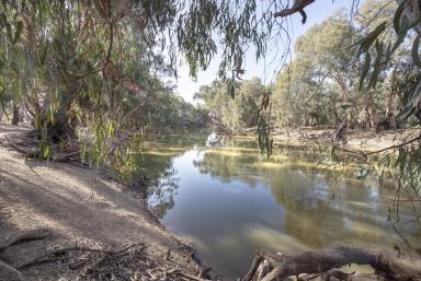 Farm Sold - NSW - Speewa - 2735 - Rare Opportunity: Murray River Frontage  (Image 2)