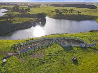 Farm For Sale - VIC - Panmure - 3265 - Peregrine Lakes  (Image 2)