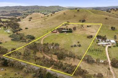 Farm For Sale - VIC - Pyalong - 3521 - MOTIVATED VENDOR PRICE REDUCTION
20 Acres, 2 houses  (Image 2)