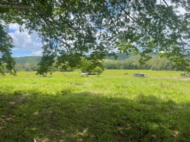 Farm Sold - QLD - Kuttabul - 4741 - THIS ONE HAS IT ALL...  (Image 2)