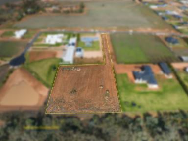 Farm Sold - NSW - Gol Gol - 2738 - Rare chance to secure an enviable lifestyle  (Image 2)
