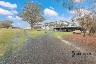Farm For Sale - VIC - Timmering - 3561 - THE COMPLETE COUNTRY LIFESTYLE ON APPROX. 20 ACRES  (Image 2)