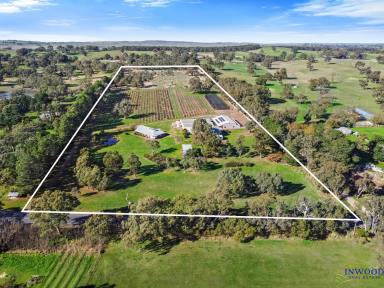 Farm Sold - SA - Mount Pleasant - 5235 - Exceptional country residence on 8 Ha. Architecturally designed home. Expansive shedding. Your income generating country residence awaits.  (Image 2)