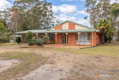Farm Sold - NSW - Kalaru - 2550 - NOT JUST A HOUSE, IT'S A LIFESTYLE!  (Image 2)