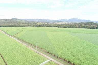 Farm Sold - QLD - Eton - 4741 - ETON CANE FARM 
Owner really wants to retire !!!!!!  (Image 2)