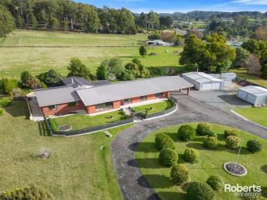 Farm Sold - TAS - Aberdeen - 7310 - Grand Proportions, studio and ample parking  (Image 2)