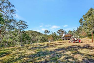 Farm For Sale - NSW - Laguna - 2325 - Wilderness Heaven on 100 Private Acres  (Image 2)
