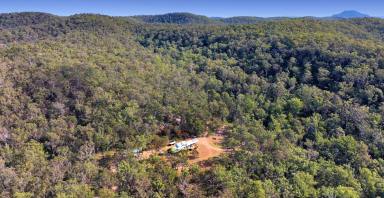 Farm For Sale - NSW - Laguna - 2325 - Wilderness Heaven on 100 Private Acres  (Image 2)