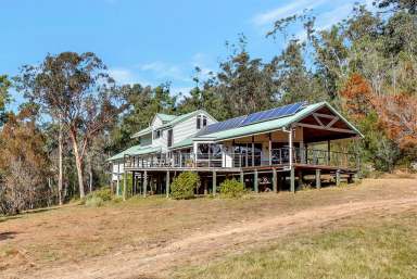 Farm For Sale - NSW - Laguna - 2325 - Wilderness Heaven on 100 Private Acres  (Image 2)