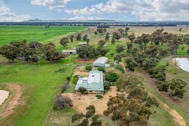 Farm Sold - NSW - Milbrulong - 2656 - Under Contract.     Excellent Start Up, Lifestyle or Add on Property  (Image 2)