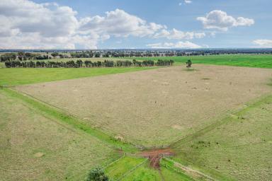 Farm Sold - NSW - Milbrulong - 2656 - Under Contract.     Excellent Start Up, Lifestyle or Add on Property  (Image 2)