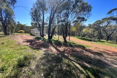 Farm Sold - WA - Coondle - 6566 - Bushland Escape 4.95 acres with Shed and Views!  (Image 2)