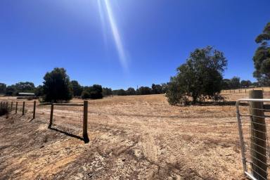 Farm Sold - WA - Wundowie - 6560 - 5 Acres of Country Living only 40 Minutes to Airport!  (Image 2)