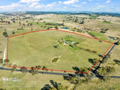 Farm Sold - NSW - Fosters Valley - 2795 - Kamrel Park, Offers the perfect lifestyle  (Image 2)