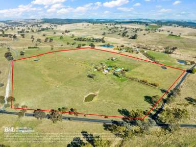 Farm Sold - NSW - Fosters Valley - 2795 - Kamrel Park, Offers the perfect lifestyle  (Image 2)