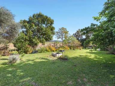 Farm Sold - QLD - Maroochy River - 4561 - FLAT ACREAGE in PRIME LOCATION on the SUNSHINE COAST  (Image 2)