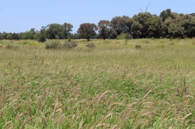 Farm Auction - QLD - Yamala - 4720 - PROVEN FATTENING COUNTRY  (Image 2)