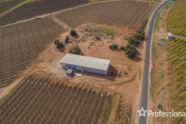 Farm Sold - VIC - Red Cliffs - 3496 - Ralli Seedless Vineyard - 8.04Ha (20 acres)  (Image 2)