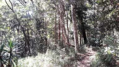 Farm Sold - QLD - Ravenshoe - 4888 - Return to nature in this retreat  (Image 2)