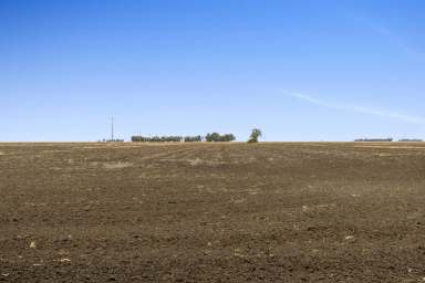 Farm Sold - QLD - Formartin - 4404 - ELLERSLIE
Formartin District-Cropping with Irrigation Licence opportunity  (Image 2)