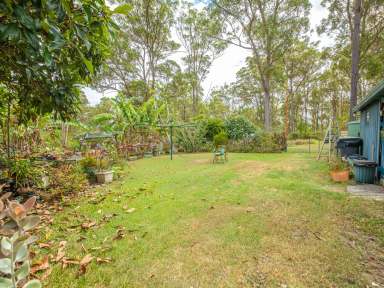 Farm Sold - QLD - Tamaree - 4570 - Shouse on 4.99acres 6 mins to town  (Image 2)