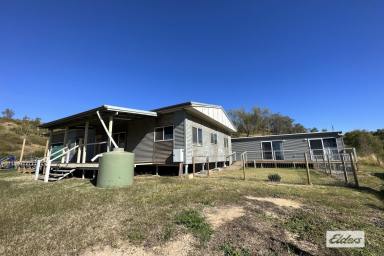 Farm Sold - QLD - Blenheim - 4341 - A Property with a Project – 40 acres
UNDER CONTRACT  (Image 2)