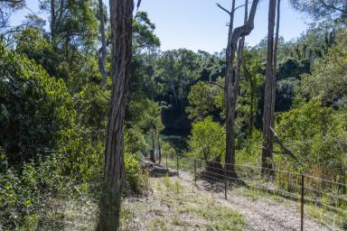 Farm Sold - NSW - Ramornie - 2460 - PRICE REDUCED - RIVERFRONT RURAL OASIS ON 80 HECTARES  (Image 2)