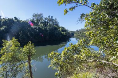 Farm Sold - NSW - Ramornie - 2460 - PRICE REDUCED - RIVERFRONT RURAL OASIS ON 80 HECTARES  (Image 2)
