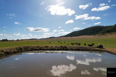 Farm Sold - NSW - Gunnedah - 2380 - PRODUCTIVE HOLDING WITH IMPRESSIVE VIEWS ACROSS THE PLAINS  (Image 2)