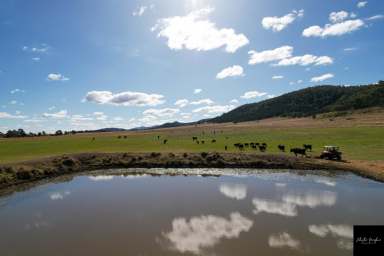 Farm Sold - NSW - Gunnedah - 2380 - PRODUCTIVE HOLDING WITH IMPRESSIVE VIEWS ACROSS THE PLAINS  (Image 2)