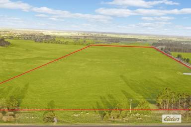 Farm Sold - VIC - Stradbroke - 3851 - Affordable grasslands with highway frontage  (Image 2)