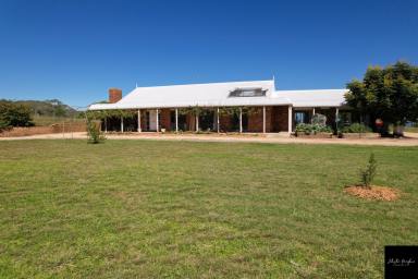 Farm Sold - NSW - Gunnedah - 2380 - MIXED RURAL PROPERTY WITH CAPTIVATING VIEWS  (Image 2)