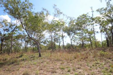 Farm For Sale - NT - Charlotte - 0822 - 320 Acres awaiting a new owner!  (Image 2)