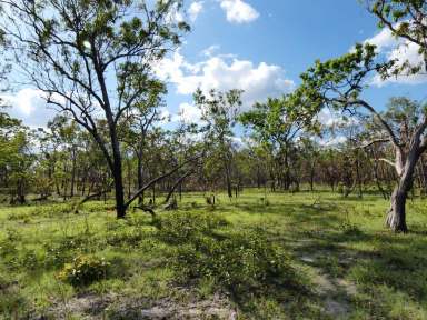 Farm For Sale - NT - Charlotte - 0822 - 320 Acres awaiting a new owner!  (Image 2)