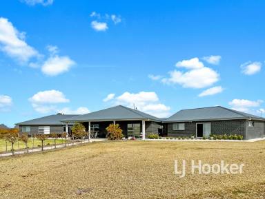 Farm For Sale - NSW - Inverell - 2360 - Prestige Living - No Expense Spared  (Image 2)