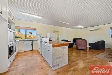 Farm Sold - WA - Yetna - 6532 - The options are endless!  (Image 2)