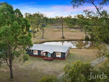 Farm Sold - NSW - Lovedale - 2325 - IDYLLIC ACREAGE FOR THE EQUESTRIAN ENTHUSIAST  (Image 2)