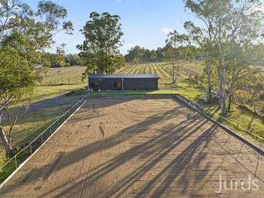 Farm Sold - NSW - Lovedale - 2325 - IDYLLIC ACREAGE FOR THE EQUESTRIAN ENTHUSIAST  (Image 2)