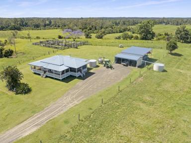 Farm Sold - QLD - Bucca - 4670 - Macadamia & grazing property, the perfect investment opportunity in the Bundaberg Region  (Image 2)