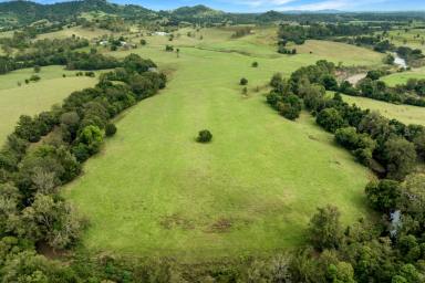Farm For Sale - QLD - Gilldora - 4570 - "The Jewel in the Mary Valley"  (Image 2)
