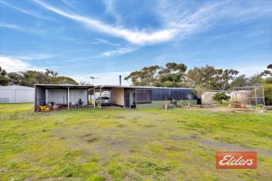 Farm Sold - SA - Freeling - 5372 - UNDER CONTRACT BY CHRISTOPHER HURST  (Image 2)