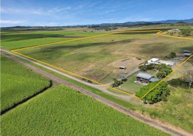 Farm Sold - QLD - Pleystowe - 4741 - 80 Acre Grazing Farm with Modern 5-Bedroom Home and Versatile Sheds at Pleystowe  (Image 2)